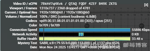 image-20251124154546474