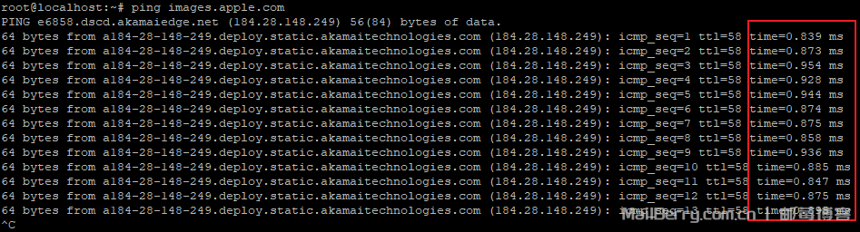 image-20251205153421407