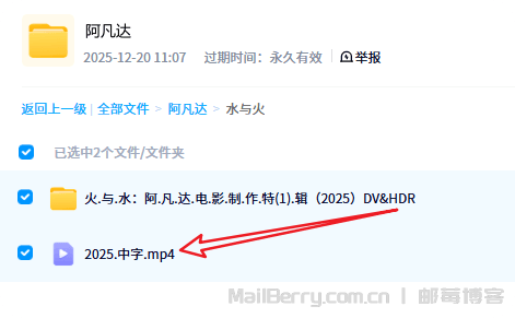 image-20251220110859472